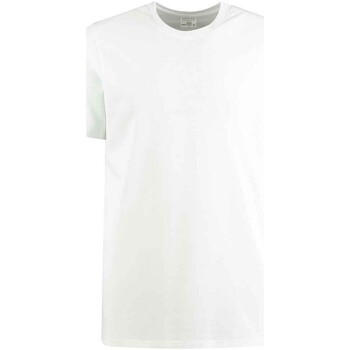 Abbigliamento Uomo T-shirts a maniche lunghe Kustom Kit K530 Bianco