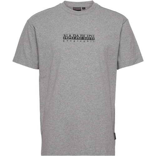 Abbigliamento Uomo T-shirt maniche corte Napapijri 210620 Grigio