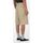 Abbigliamento Uomo Shorts / Bermuda Dickies 13IN MLT PKT W/S - CH0-KHK KHAKI Beige