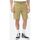 Abbigliamento Uomo Shorts / Bermuda Dickies COBDEN DK0A4XES-KHK KHAKI Beige