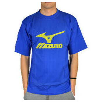 Abbigliamento Uomo T-shirt & Polo 13 Mizuno t.shirt logo Blu