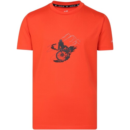 Abbigliamento Unisex bambino T-shirt & Polo Dare 2b Amuse Arancio