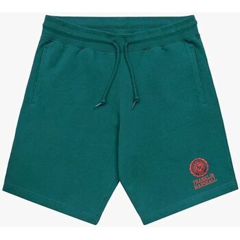 Abbigliamento Shorts / Bermuda Franklin & Marshall JM4033.2000P01-235 Verde