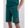 Abbigliamento Shorts / Bermuda Franklin & Marshall JM4033.2000P01-235 SEAFLOOR Verde