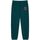 Abbigliamento Pantaloni da tuta Franklin & Marshall JM1004.2000P01.SS-235 Verde