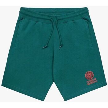 Abbigliamento Shorts / Bermuda Franklin & Marshall JM4033.2000P01-235 Verde