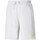Abbigliamento Uomo Shorts / Bermuda Puma 533659-01 Grigio