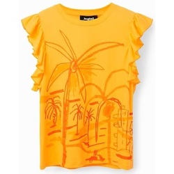 Abbigliamento Donna T-shirt maniche corte Desigual 23SWTKCA Arancio