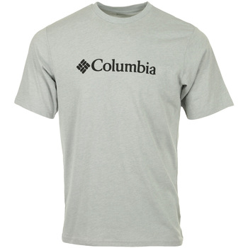 Abbigliamento Uomo T-shirt maniche corte Columbia CSC Basic Logo Grigio