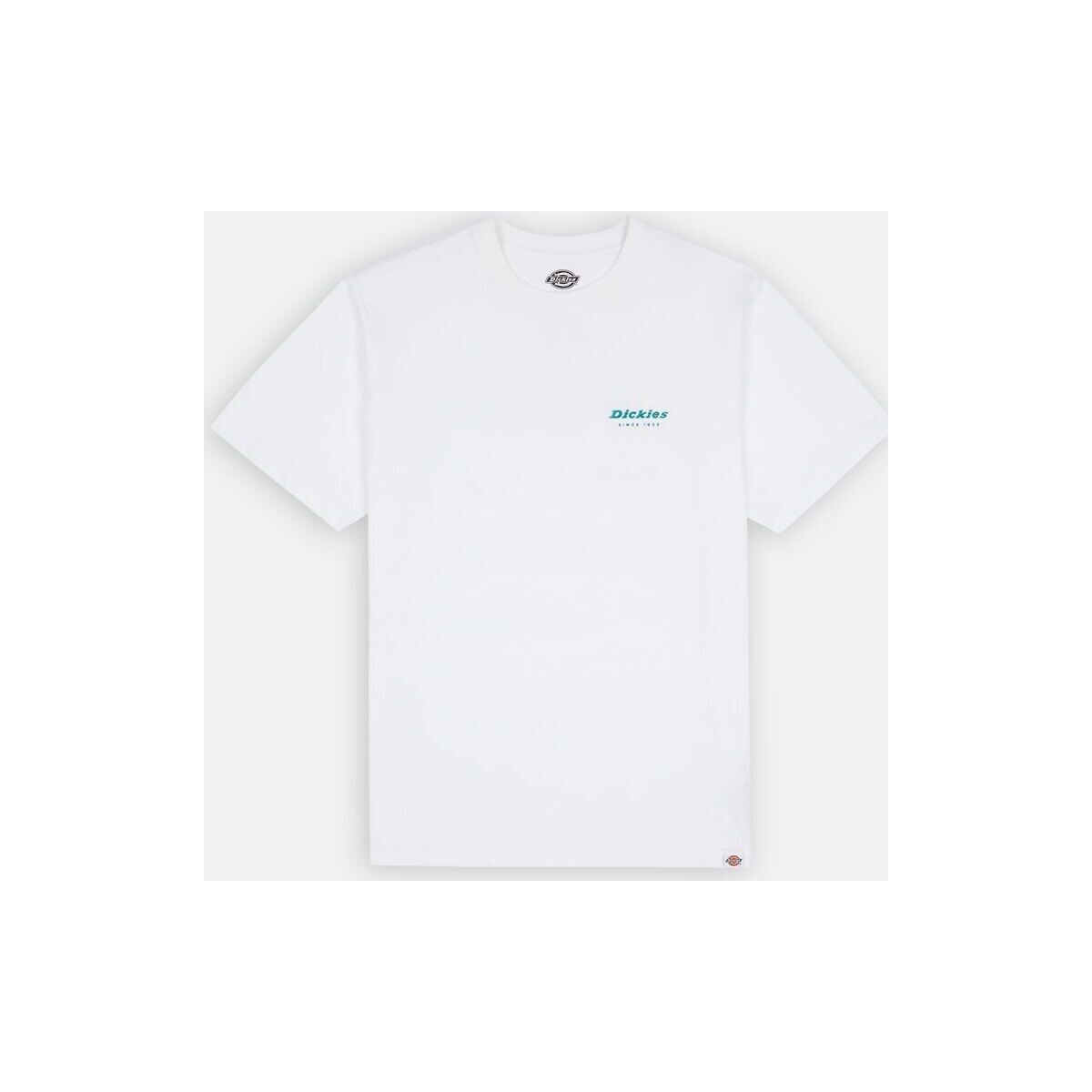 Abbigliamento Uomo T-shirt & Polo Dickies LEESBURG TEE SS Bianco