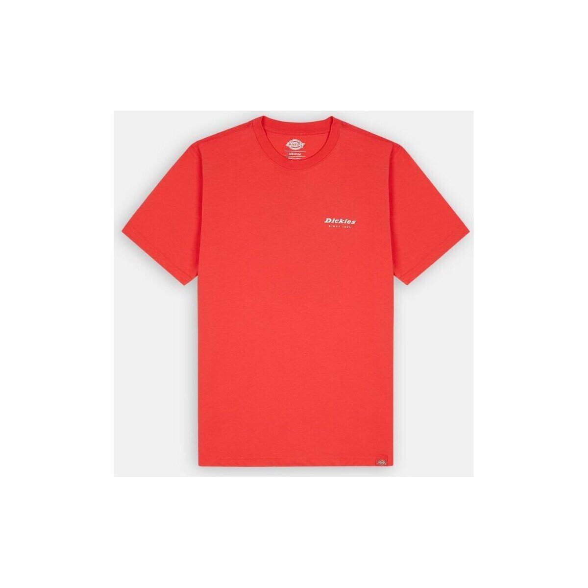 Abbigliamento Uomo T-shirt & Polo Dickies LEESBURG TEE SS Rosso