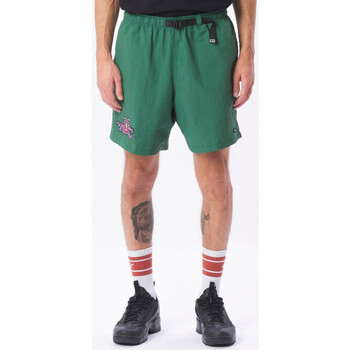 Abbigliamento Uomo Shorts / Bermuda Obey Hang out web belt short Verde