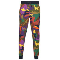 Abbigliamento Uomo Pantaloni da tuta Polo Ralph Lauren BAS DE JOGGING EN DOUBLE KNIT TECH Multicolore
