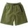 Abbigliamento Uomo Shorts / Bermuda Gramicci Pantaloncini G Uomo Olive Verde