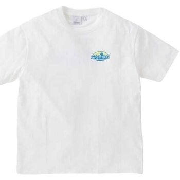 Abbigliamento Uomo T-shirt maniche corte Gramicci T-shirt Summit Uomo White Bianco
