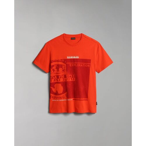 Abbigliamento Uomo T-shirt & Polo Napapijri S-MANTA NP0A4H2C-R05 RED CHERRY Rosso