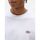 Abbigliamento Uomo T-shirt & Polo Dickies MAPLETON TEE SS 0A4XDB-WHX WHITE Bianco