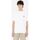 Abbigliamento Uomo T-shirt & Polo Dickies SUMMERDALE SS - DK0A4YA-WHX WHITE Bianco