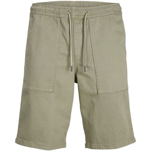 Abbigliamento Uomo Shorts / Bermuda Jack & Jones 12229946 JOGGER AMA-DEEP LICHEN Verde