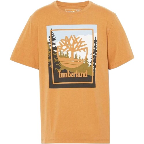 Abbigliamento Uomo T-shirt maniche corte Timberland 212160 Giallo