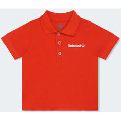 Abbigliamento Bambino T-shirt & Polo Timberland  Arancio