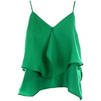Abbigliamento Donna Top / T-shirt senza maniche Pinko TOSATO 1-X08 Verde