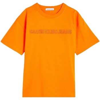 Abbigliamento Bambino T-shirt maniche corte Calvin Klein Jeans IB0IB01643 Arancio