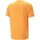 Abbigliamento Uomo T-shirt maniche corte Puma 847382 Beige