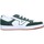 Scarpe Sneakers Vans VN0A7TNLY9H1 Bianco