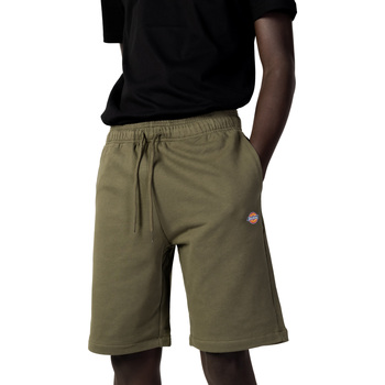Abbigliamento Uomo Shorts / Bermuda Dickies DK0A4Y83 Verde