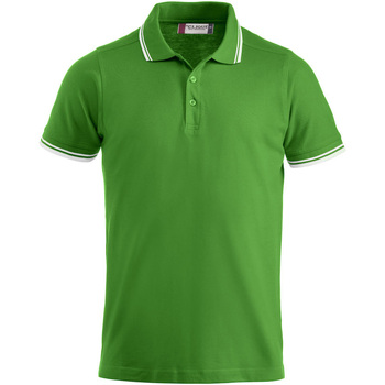 Abbigliamento Polo maniche corte C-Clique  Verde