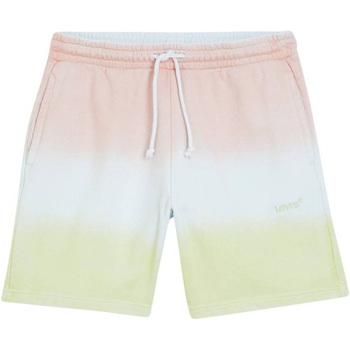 Abbigliamento Uomo Shorts / Bermuda Levi's A1062-0008 Multicolore
