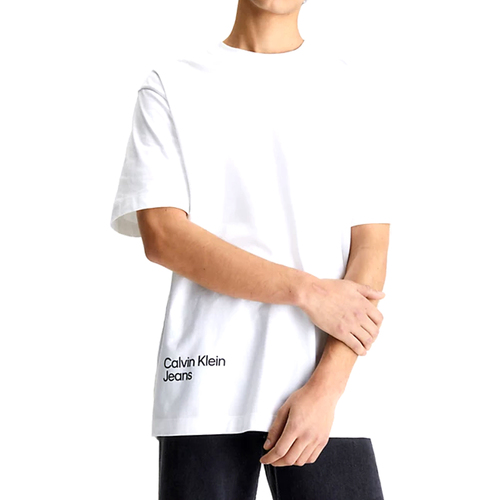 Abbigliamento Uomo T-shirt maniche corte Calvin Klein Jeans J30J322881-YAF Bianco