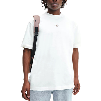 Abbigliamento Uomo T-shirt maniche corte Calvin Klein Jeans J30J322507-YBI Beige