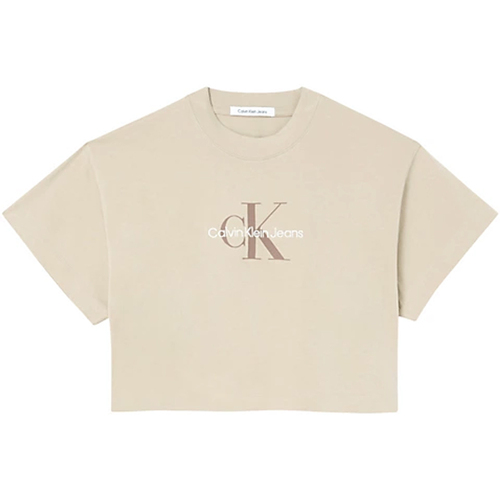 Abbigliamento Donna T-shirt maniche corte Calvin Klein Jeans J20J220280-PF2 Beige