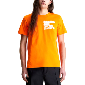 Abbigliamento Uomo T-shirt maniche corte Calvin Klein Jeans J30J322870-SCB Arancio