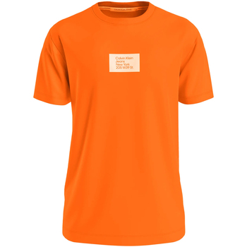 Abbigliamento Uomo T-shirt maniche corte Calvin Klein Jeans J30J322879-SCB Arancio