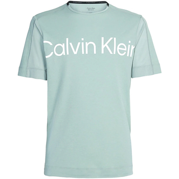 Abbigliamento Uomo T-shirt maniche corte Calvin Klein Jeans 00GMS3K102-LFW Verde