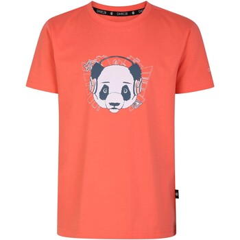 Abbigliamento Unisex bambino T-shirt & Polo Dare 2b Trailblazer Multicolore