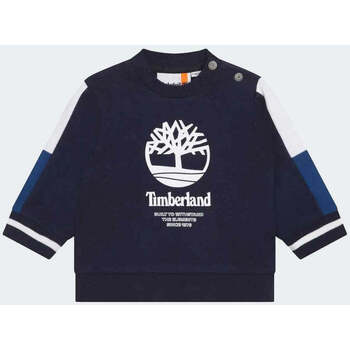 Timberland  Blu