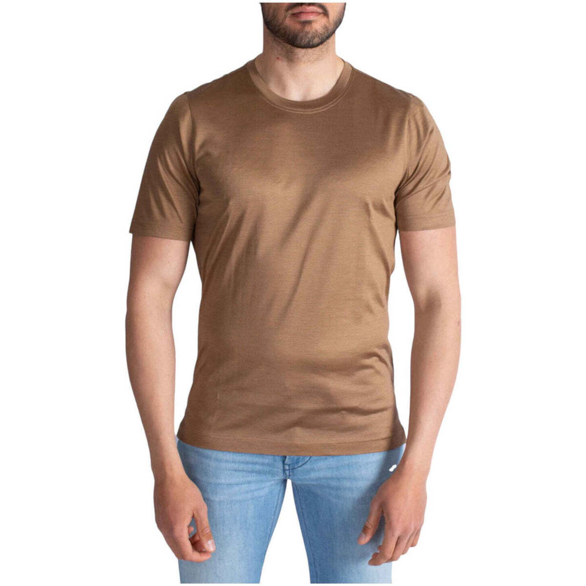 Abbigliamento Uomo T-shirt & Polo Gran Sasso T-Shirt e Polo Uomo  60133/78311 160 Marrone Marrone