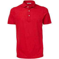 Abbigliamento Uomo T-shirt & Polo Gran Sasso T-Shirt e Polo Uomo  60103/81401 255 Rosso Rosso