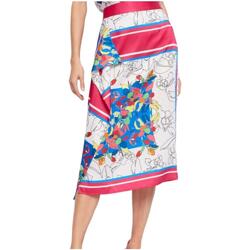 Abbigliamento Donna Gonne Gaudi  Multicolore