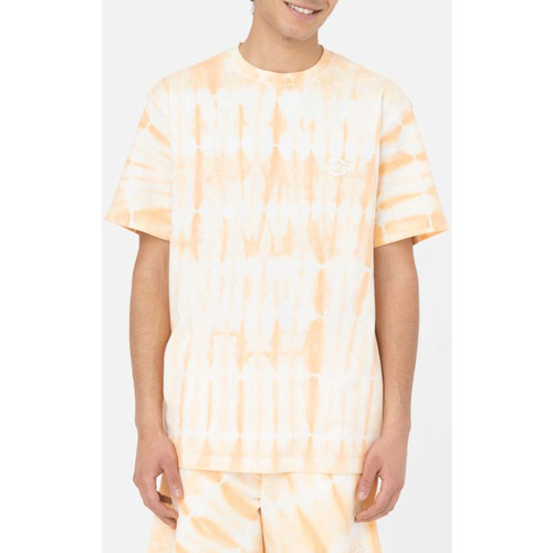 Abbigliamento T-shirt maniche corte Dickies T-shirt a maniche corte  - Westfir Tee Arancio