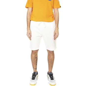 Abbigliamento Uomo Shorts / Bermuda Dickies M' Mapleton Ecru Beige