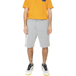 Abbigliamento Uomo Shorts / Bermuda Dickies M' Mapleton Grey Melange Grigio