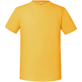Abbigliamento Uomo T-shirts a maniche lunghe Fruit Of The Loom Premium Multicolore