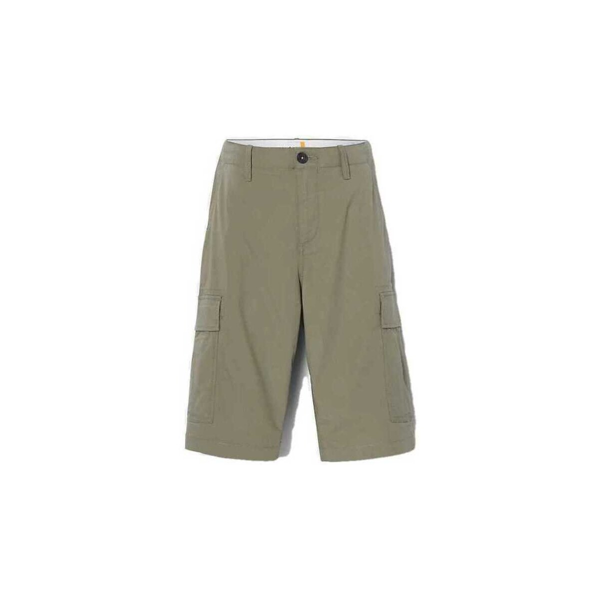 Abbigliamento Uomo Shorts / Bermuda Timberland A25DS 5901 OUTDOOR CARGO SHORT CASSEL HEART Verde