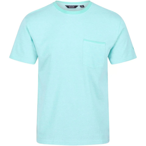 Abbigliamento Uomo T-shirts a maniche lunghe Regatta Caelum Multicolore