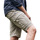 Abbigliamento Uomo Shorts / Bermuda Craghoppers Expert Kiwi Beige